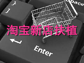 淘寶新店有流量扶持嗎